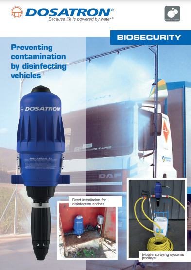 Flyer Cover